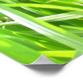 Poster - Eisen Sonnenblume im Gras (Ecke)