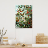 Poster Ernst Haeckel Trochilidae Hummingbird (Küche)