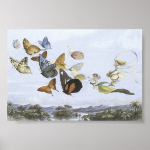 Poster - Fairies reiten Schmetterlinge