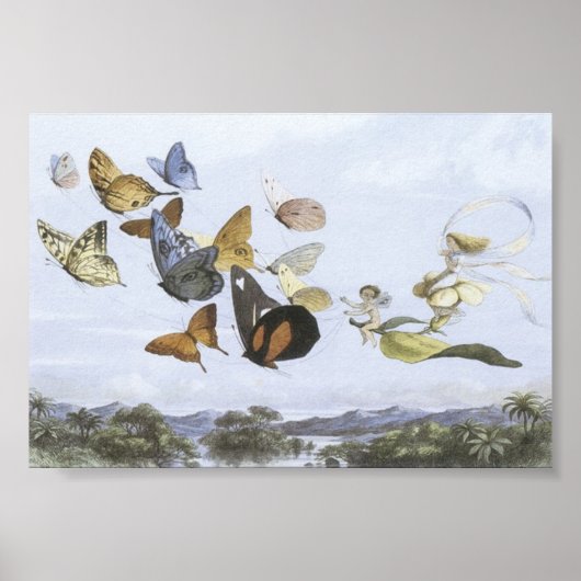 Poster - Fairies reiten Schmetterlinge (Vorne)