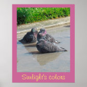 Poster - Farben des Sonnenlichts (Vorne)