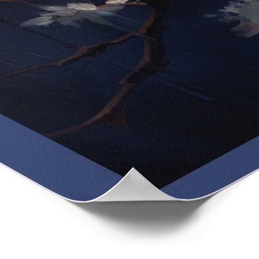 Poster Feathered Beauties (Ecke)