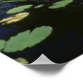 Poster/Feuchtgebiete, Okefenokee, NWR Poster (Ecke)