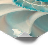 Poster - Fibonacci Sequence in Nature Sea Life (Ecke)