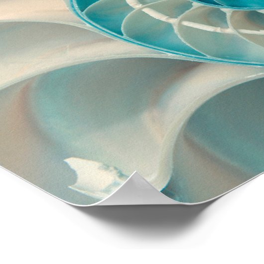 Poster - Fibonacci Sequence in Nature Sea Life (Ecke)