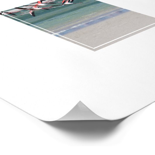 Poster-Flamingos Poster (Ecke)