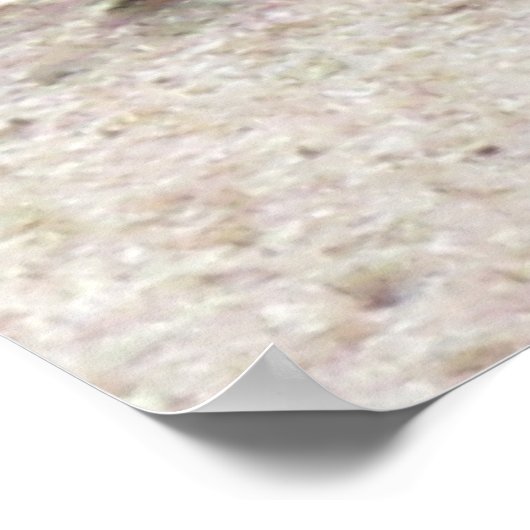 Poster - Fliegen an der Wand (Ecke)