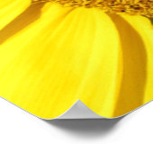 Poster - Fliegen auf Sonnenblumen (Ecke)