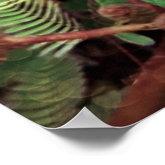 Poster Folhas (Ecke)