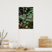 Poster Folhas (Küche)