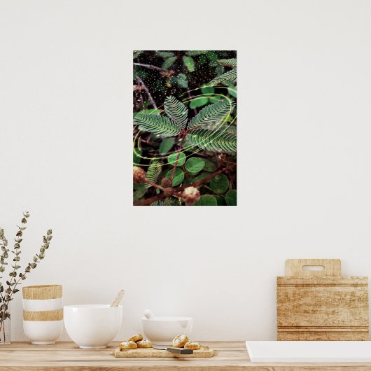 Poster Folhas (Küche)