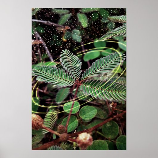 Poster Folhas (Vorne)