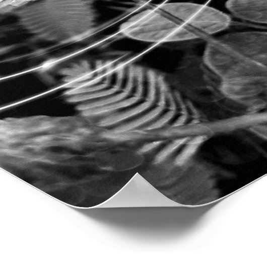 Poster Folhas - P&B (Ecke)