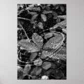 Poster Folhas - P&B (Vorne)