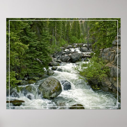 Poster-Forest-Fluss Poster (Vorne)