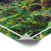 Poster-Forest Poster (Ecke)