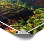 Poster-Forest Poster (Ecke)