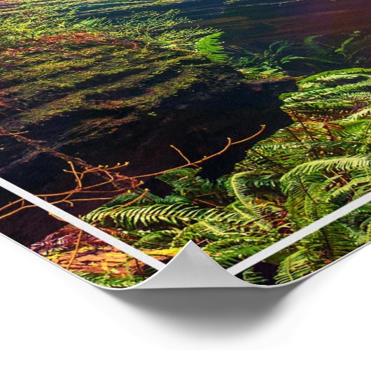 Poster-Forest Poster (Ecke)