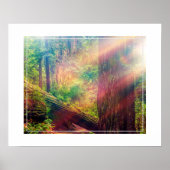 Poster-Forest Poster (Vorne)