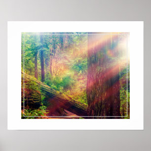 Poster-Forest Poster