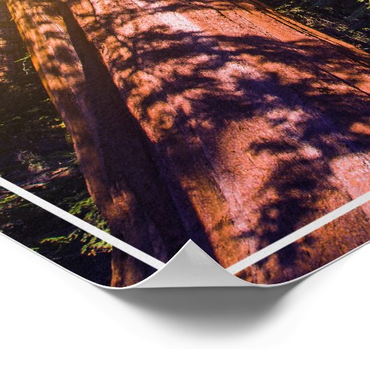 Poster-Forest Poster (Ecke)