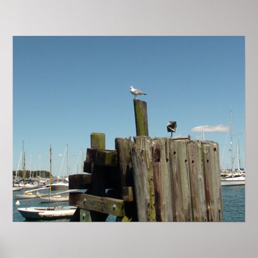 Poster: Foto aus Martha's Vineyard Poster (Vorne)