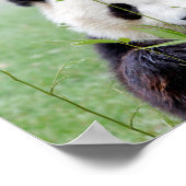 Poster Foto Riesenpanda , Tiere 0333. (Ecke)