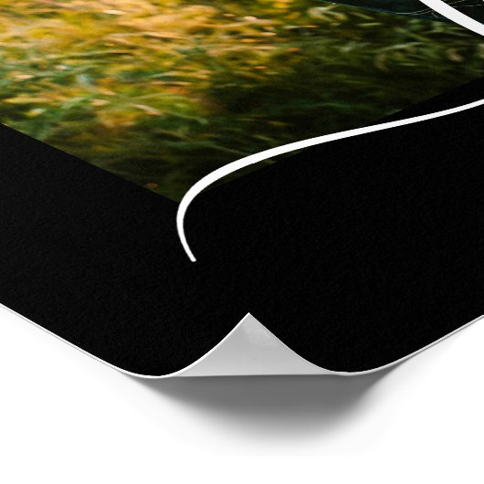 Poster Foto Template Liebe Text Schwarz (Ecke)