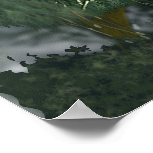 Poster - Fox am Fluss (Ecke)