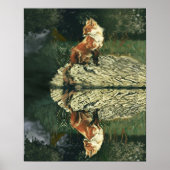 Poster - Fox am Fluss (Vorne)