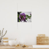 Poster - Frack Schmetterling (Küche)