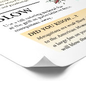 Poster "Friendly Mosquito Solutions Poster" (Ecke)