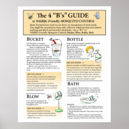 Poster "Friendly Mosquito Solutions Poster"