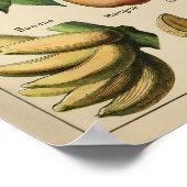 Poster Fruta Adolphe Millot Le Larousse Pour Tous (Ecke)