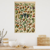 Poster Fruta Adolphe Millot Le Larousse Pour Tous (Küche)