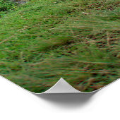 Poster  full (18" x 24")  Rice field worker (Ecke)