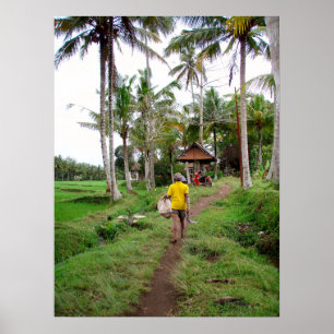 Poster full (18" x 24") Rice field worker