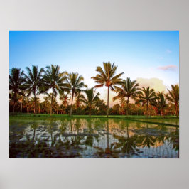 Poster full size (24" x 18")  Palm Trees Bali