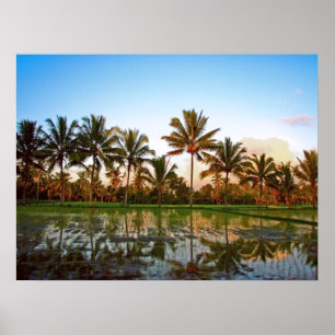 Poster full size (24" x 18")  Palm Trees Bali