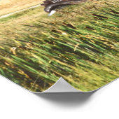 Poster für antike Autos (Ecke)