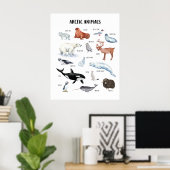 Poster für Arktische Tiere im Unterricht (Heimbüro)