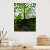 Poster für Außenbäume (Küche)