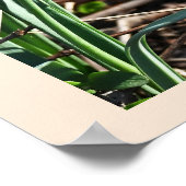 Poster für Blume mit Schneefall (Ecke)