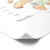 Poster für das spanische autonome Nervensystem (Ecke)