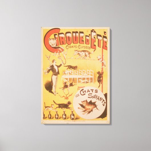 Poster für den Cirque d'Ete im Internet Leinwanddruck (Vorderseite)
