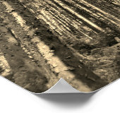 Poster für dramatische Waldbaumen (Ecke)