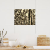 Poster für dramatische Waldbaumen (Küche)