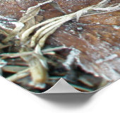 Poster für Frosty Morning Blätter (Ecke)