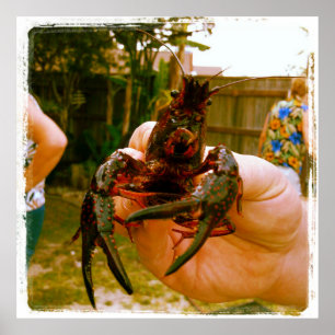 Poster für große Krebse-Fotos