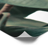 Poster für grüne tropische Pflanze (Ecke)